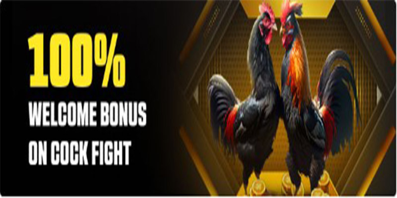 100% Welcome Bonus on Cock Fight