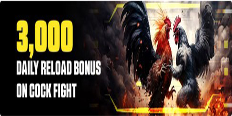 15% Daily Reload Bonus on Cock Fighting
