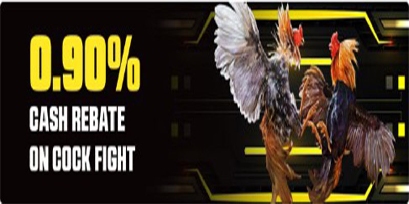 0.9% Cash Rebate on Cock Fighting